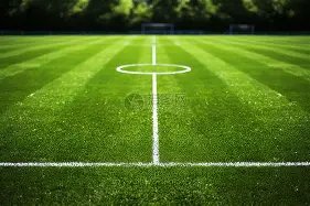 阿根廷女足,队员腿部,罗纹身引发,Bet365下载ios,iOS版,体育博彩,移动应用,下载Bet365,体育赛事